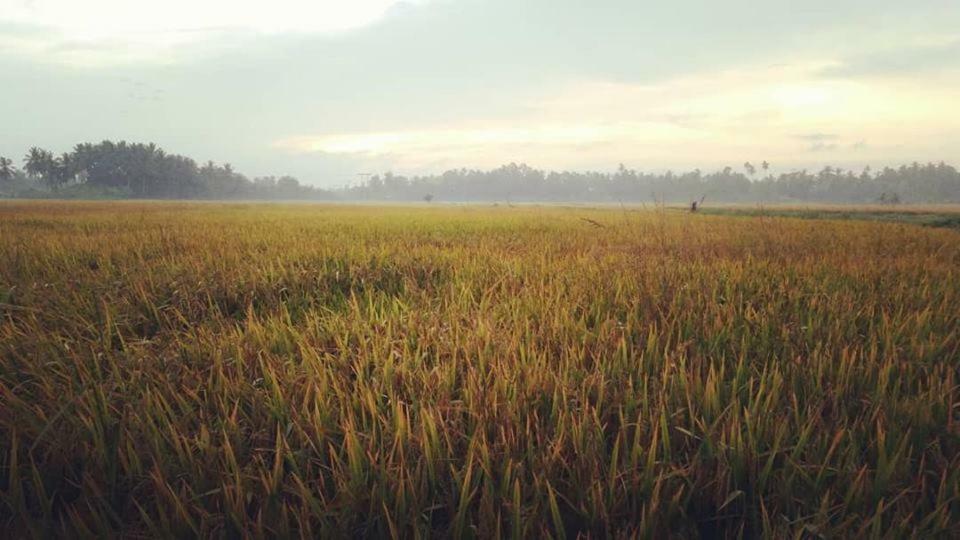 Seri Pengkalan Homestay Bachok Zewnętrze zdjęcie