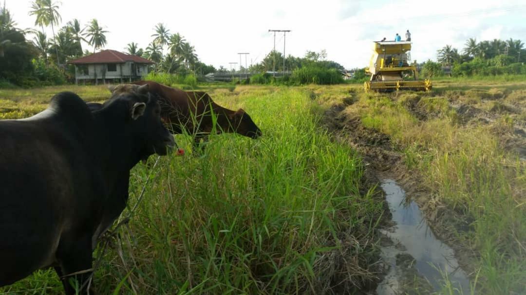 Seri Pengkalan Homestay Bachok Zewnętrze zdjęcie